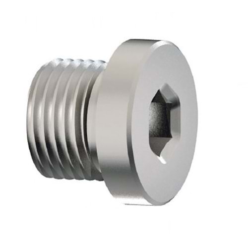 METRİK ALYAN BAŞLI TAPA 22X1,5